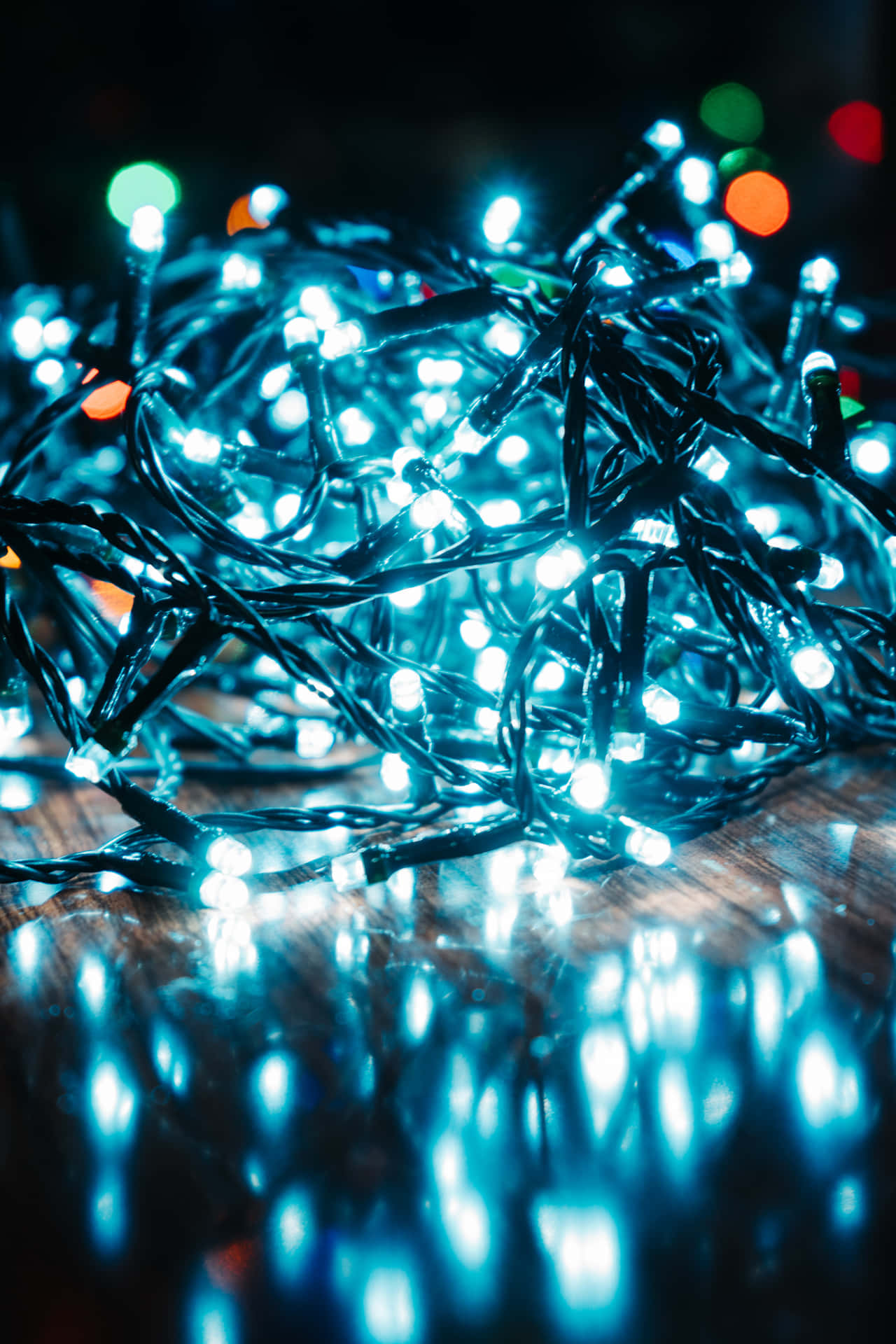 Illuminate your holiday season with festive Christmas Lights