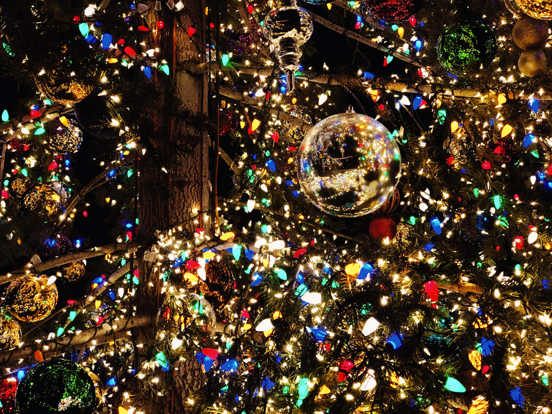 Illuminala Stagione Delle Festività Con Le Magiche Luci Di Natale