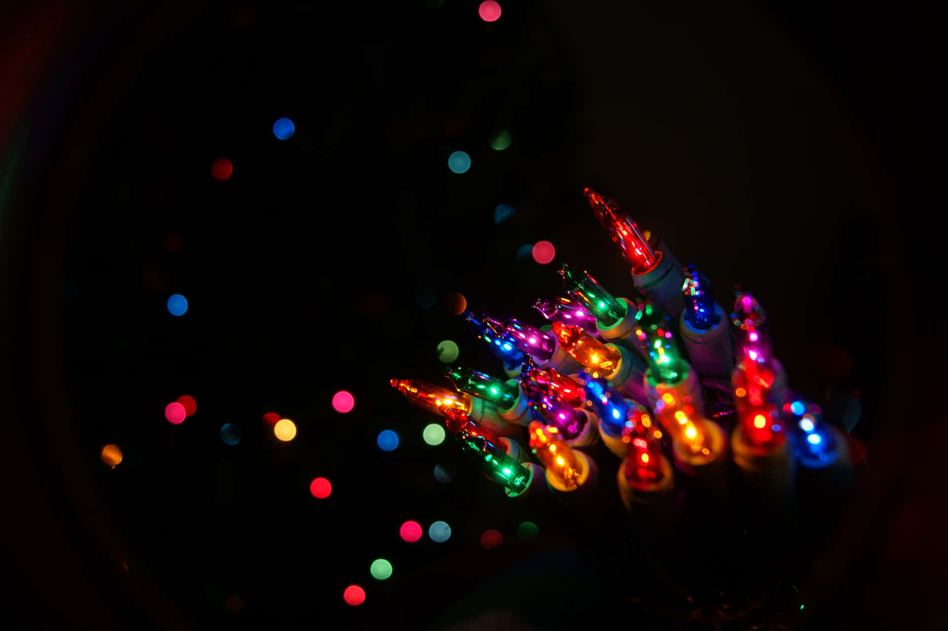 Lys op ferien sæsonen med festlige julelys.