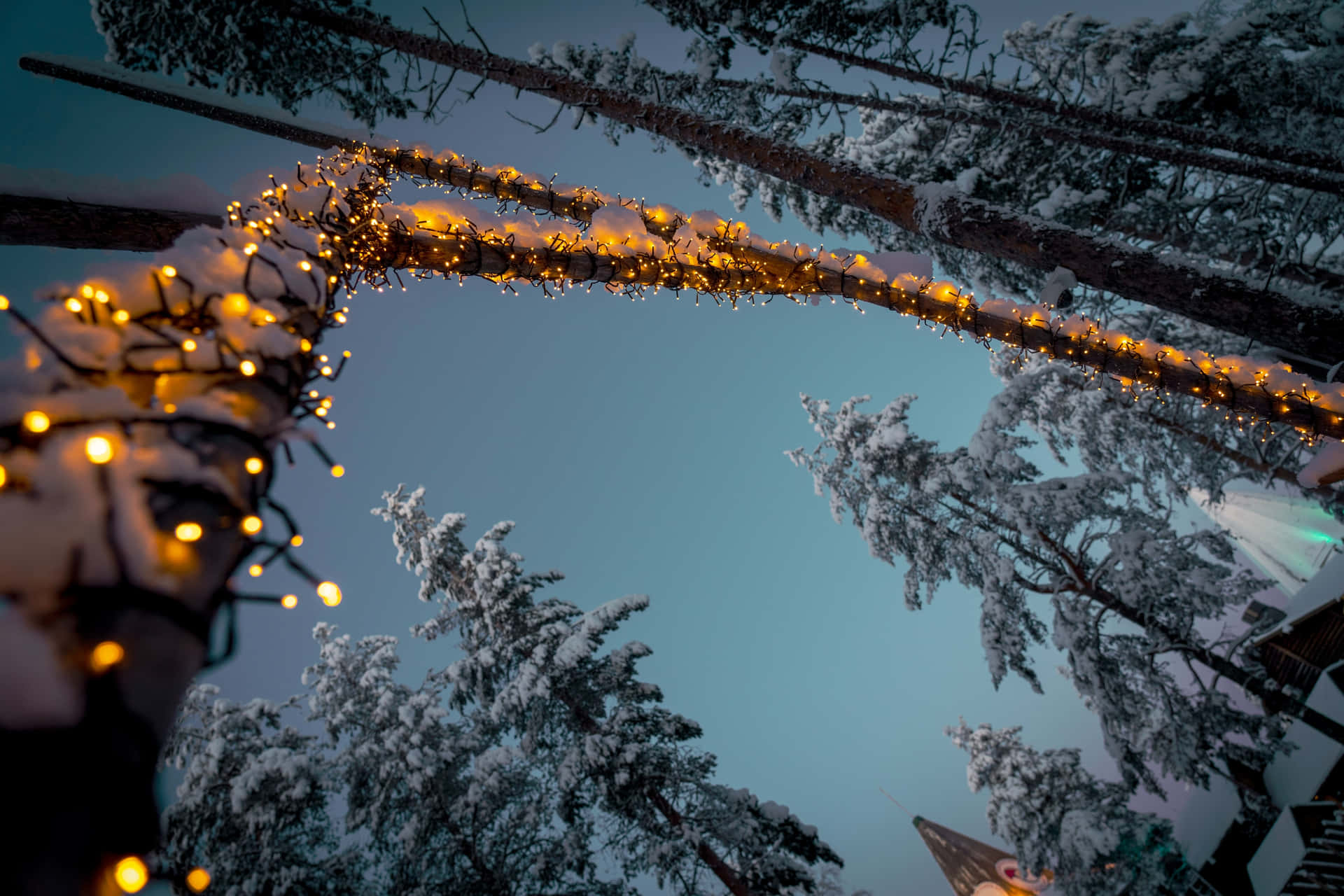 Illuminala Stagione Festiva Con Scintillanti Luci Di Natale