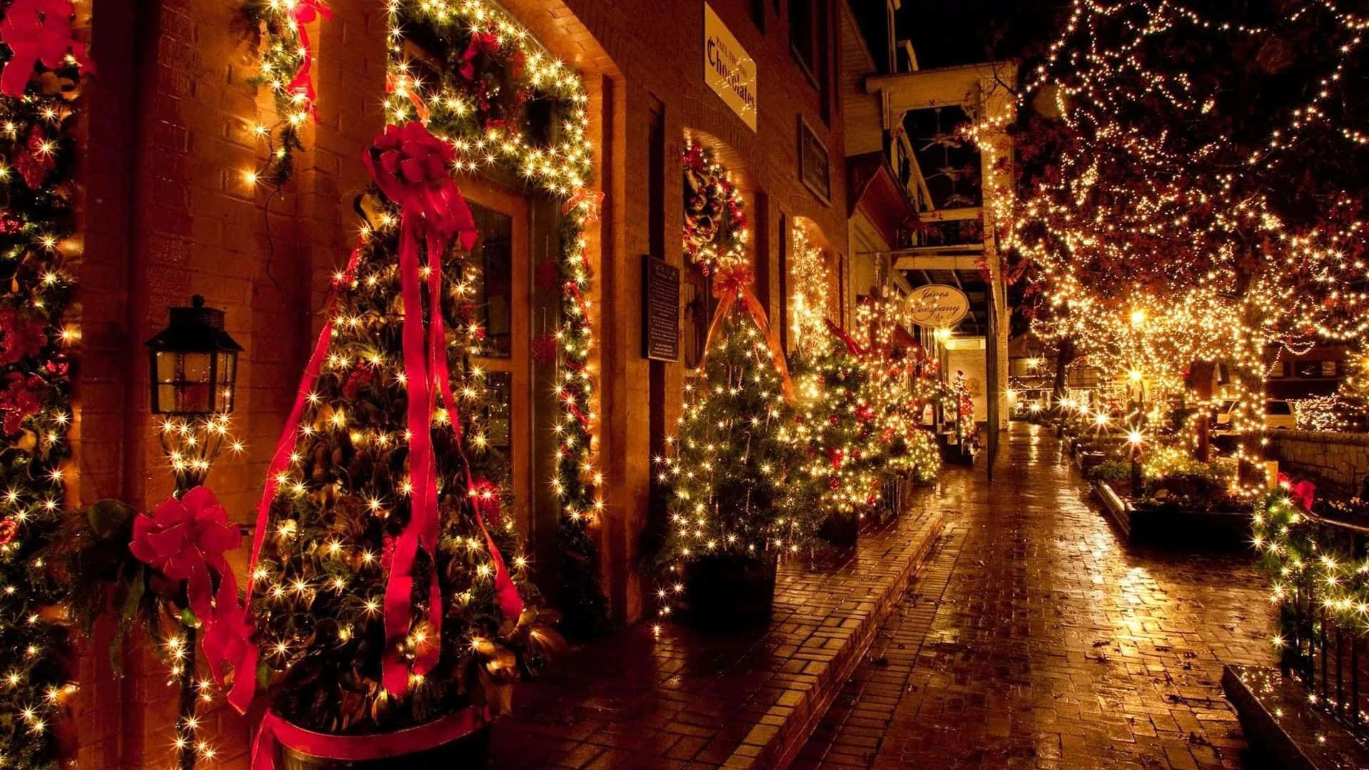 Christmas Light On Christmas Trees On Sidewalk Picture