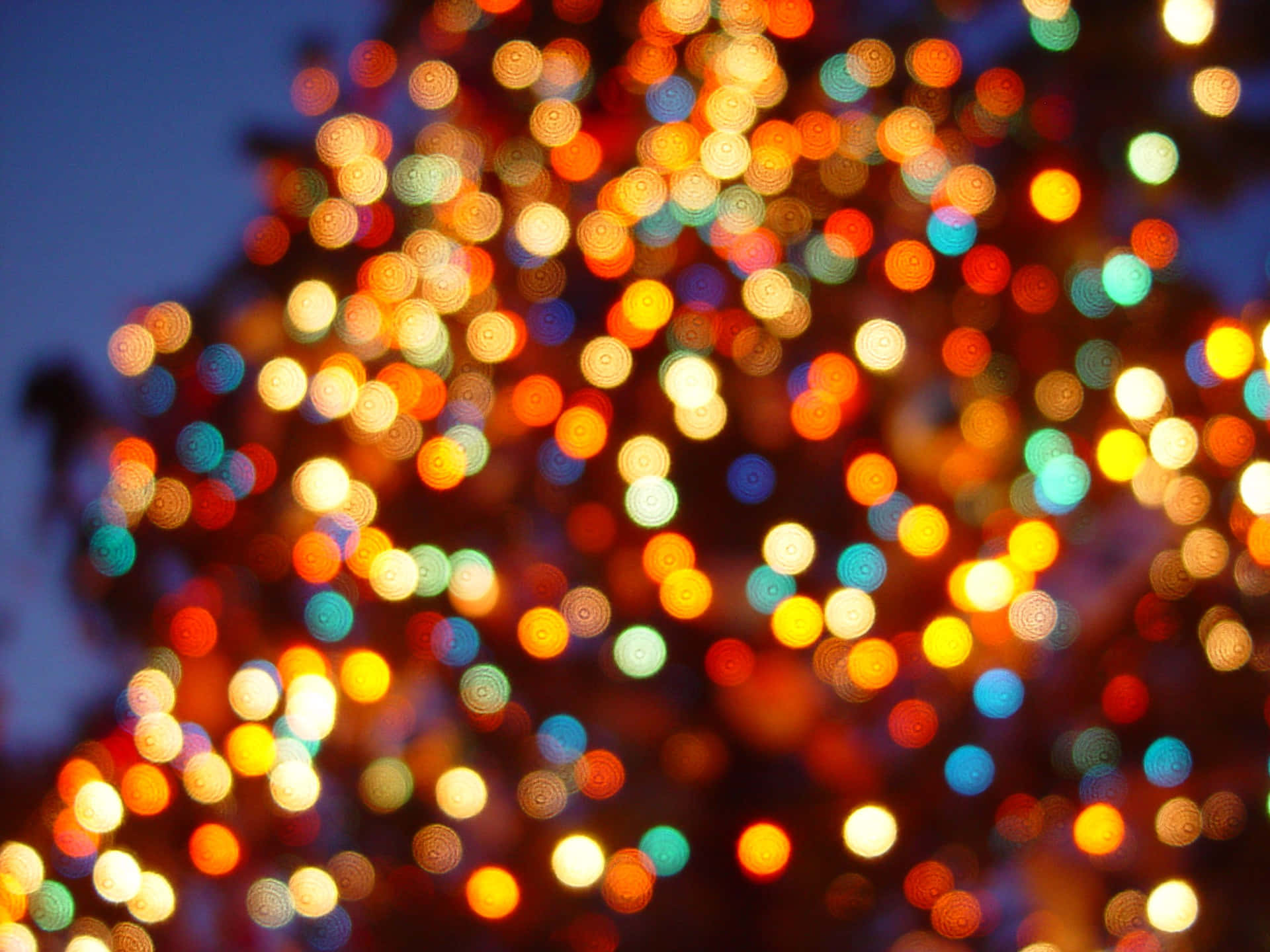 Lucinatalizie Sfocate Su Immagine Dell'albero Di Natale