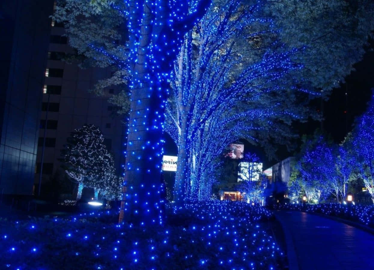 Christmas Light Blue Aesthetic On Trees Picture