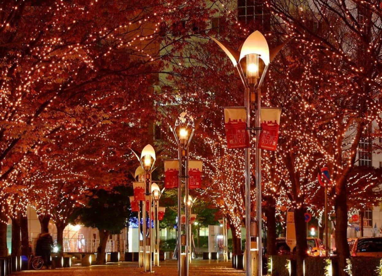 Immaginedi Una Strada Con Alberi Illuminati Di Rosso Durante Il Natale