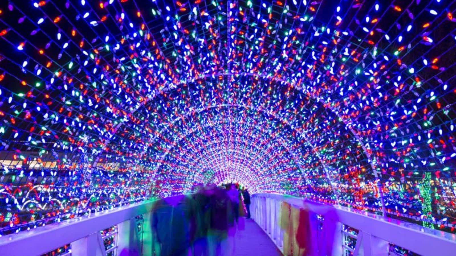 Christmas Light Tunnel And River Picture