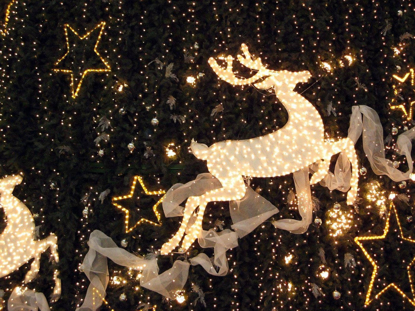 Festive Christmas lights adorn the sky Wallpaper