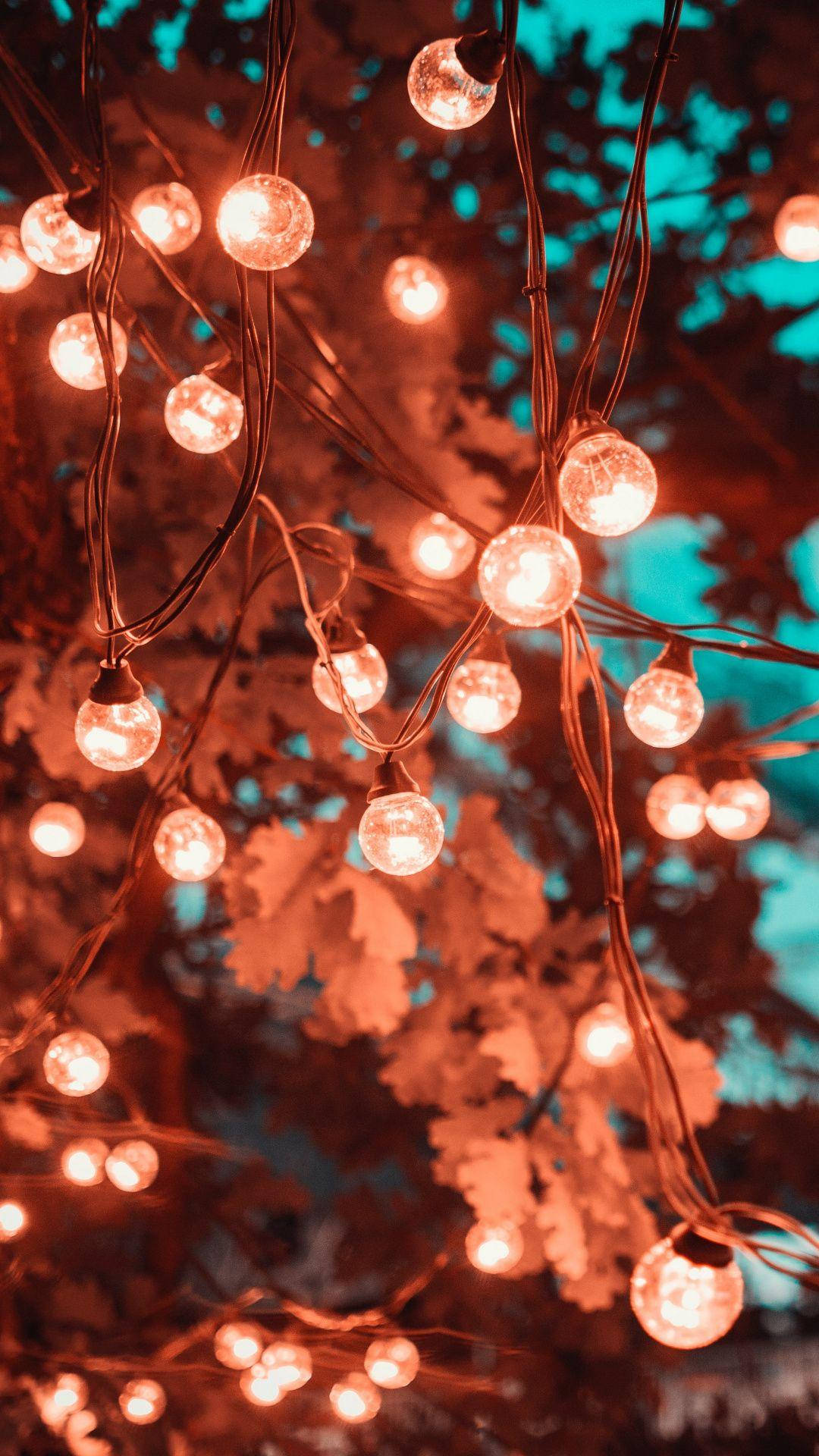 A Tree With Lights Hanging From It Wallpaper