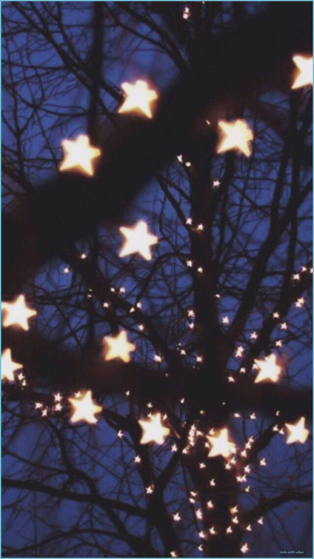 Enjoy the magical Christmas lights Wallpaper