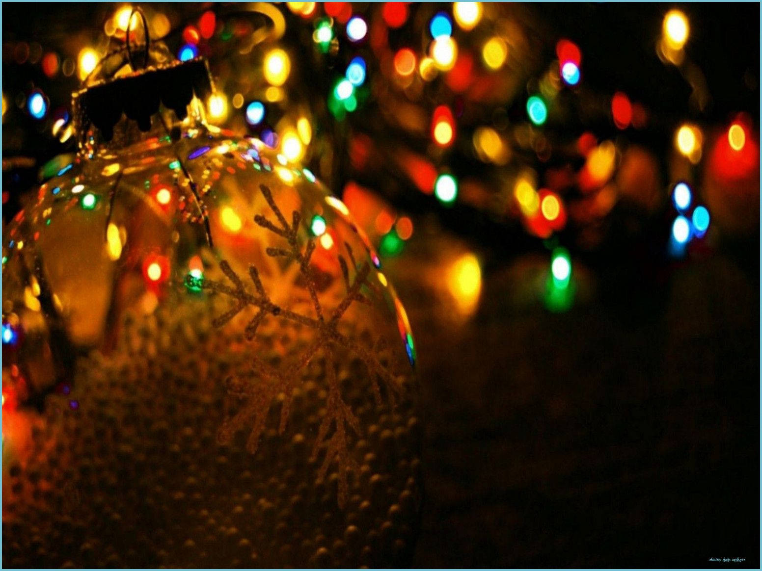Unalbero Di Natale Splendidamente Illuminato Porta Gioia E Allegria Natalizia. Sfondo