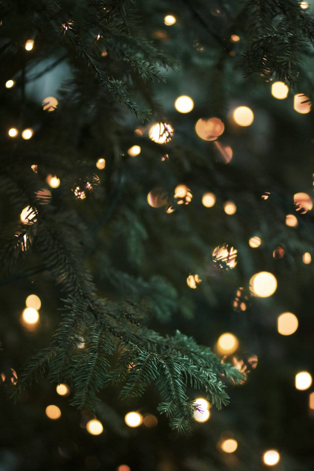 Get into the Christmas spirit with a mesmerizing display of twinkling lights! Wallpaper