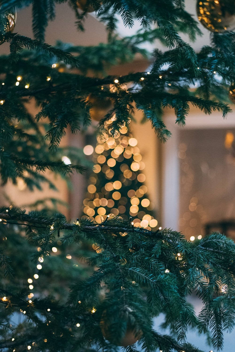 Einweihnachtsbaum Mit Goldenen Verzierungen In Einem Wohnzimmer. Wallpaper
