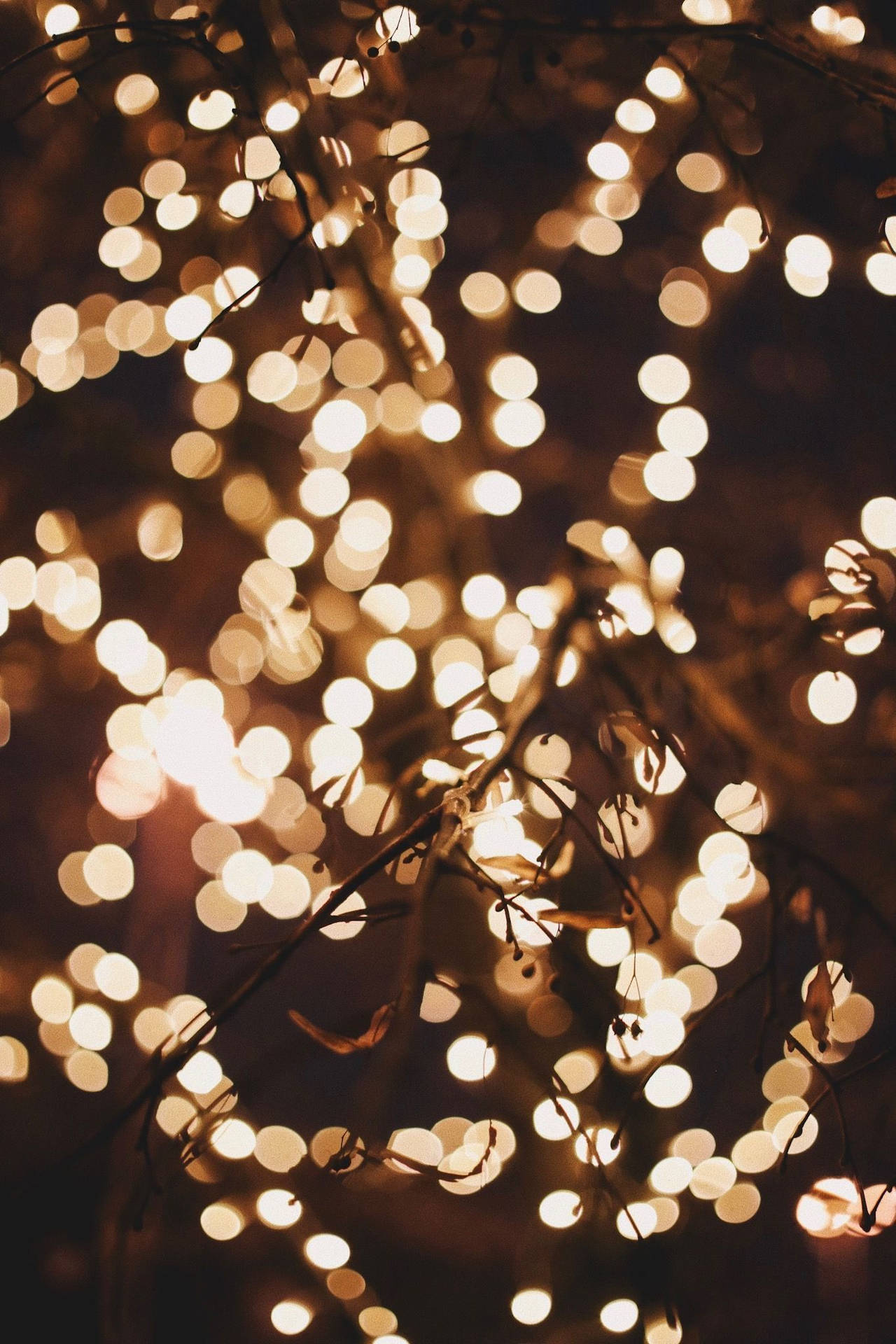 Make your holiday sparkle with beautiful Christmas lights! Wallpaper