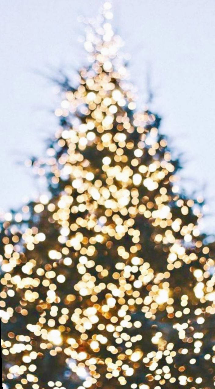 Beautifully lit Christmas Lights brighten up the holiday season Wallpaper