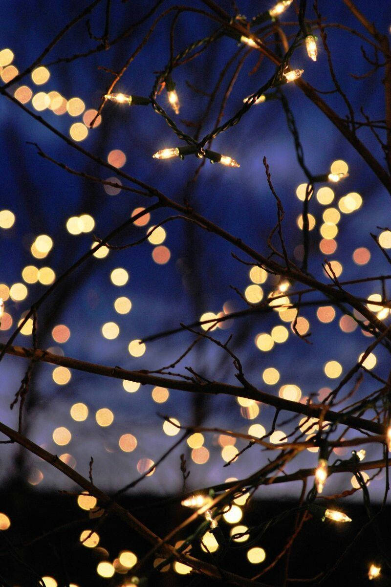 Brighten your Christmas season by decorating your home with festive holiday lights. Wallpaper