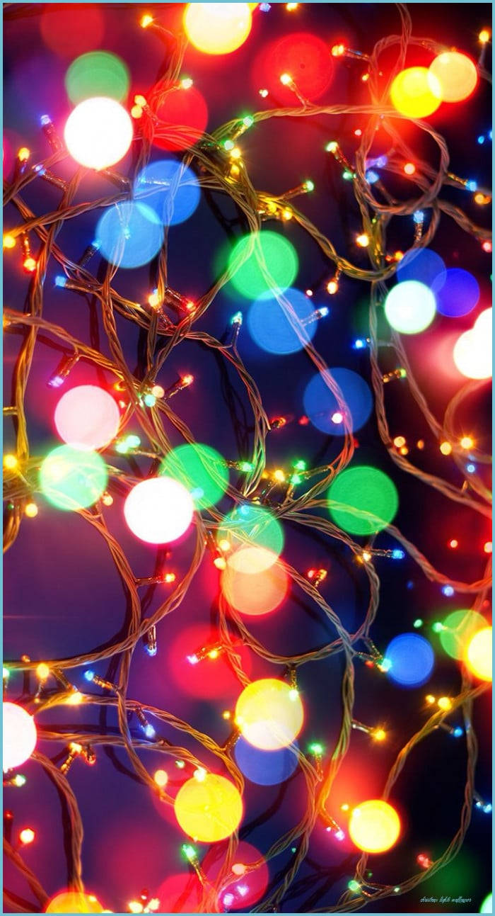 Let the Christmas lights guide you along this festive season Wallpaper