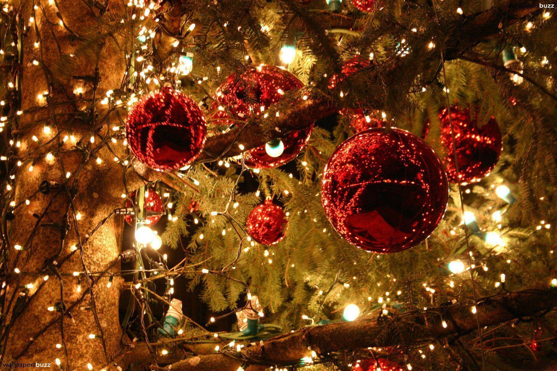 A Spellbinding Scene of Christmas Lights and Red Balls Wallpaper