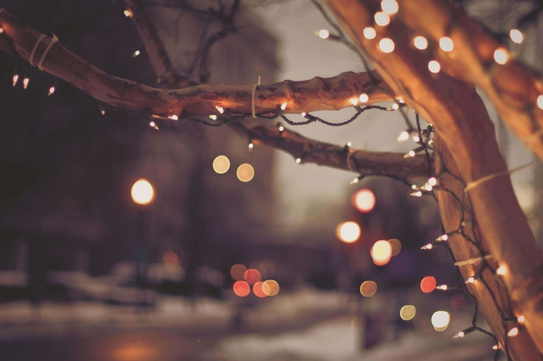 Verschönernsie Ihr Zuhause An Weihnachten Mit Lichterketten
