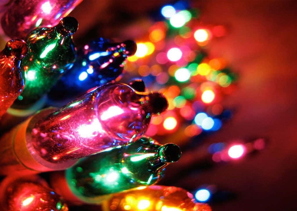 Get into the festive spirit and light up your home with Christmas Lights.