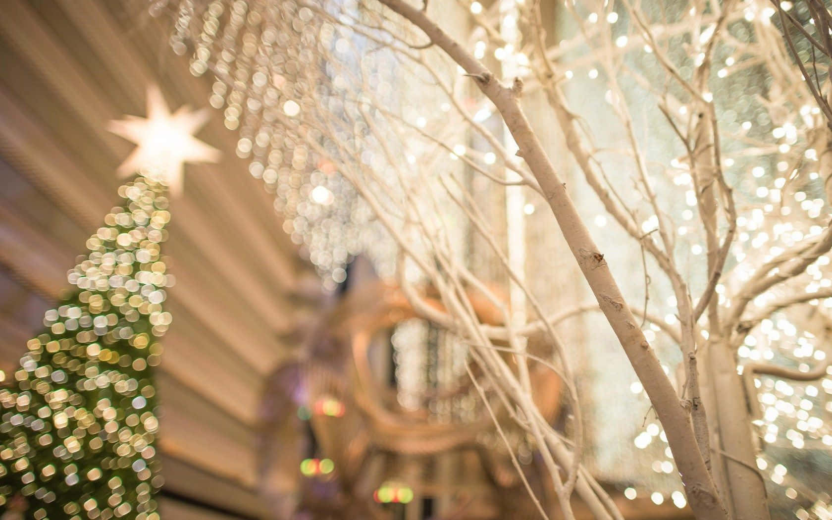 Enchanting Christmas lights brighten up the festive season!
