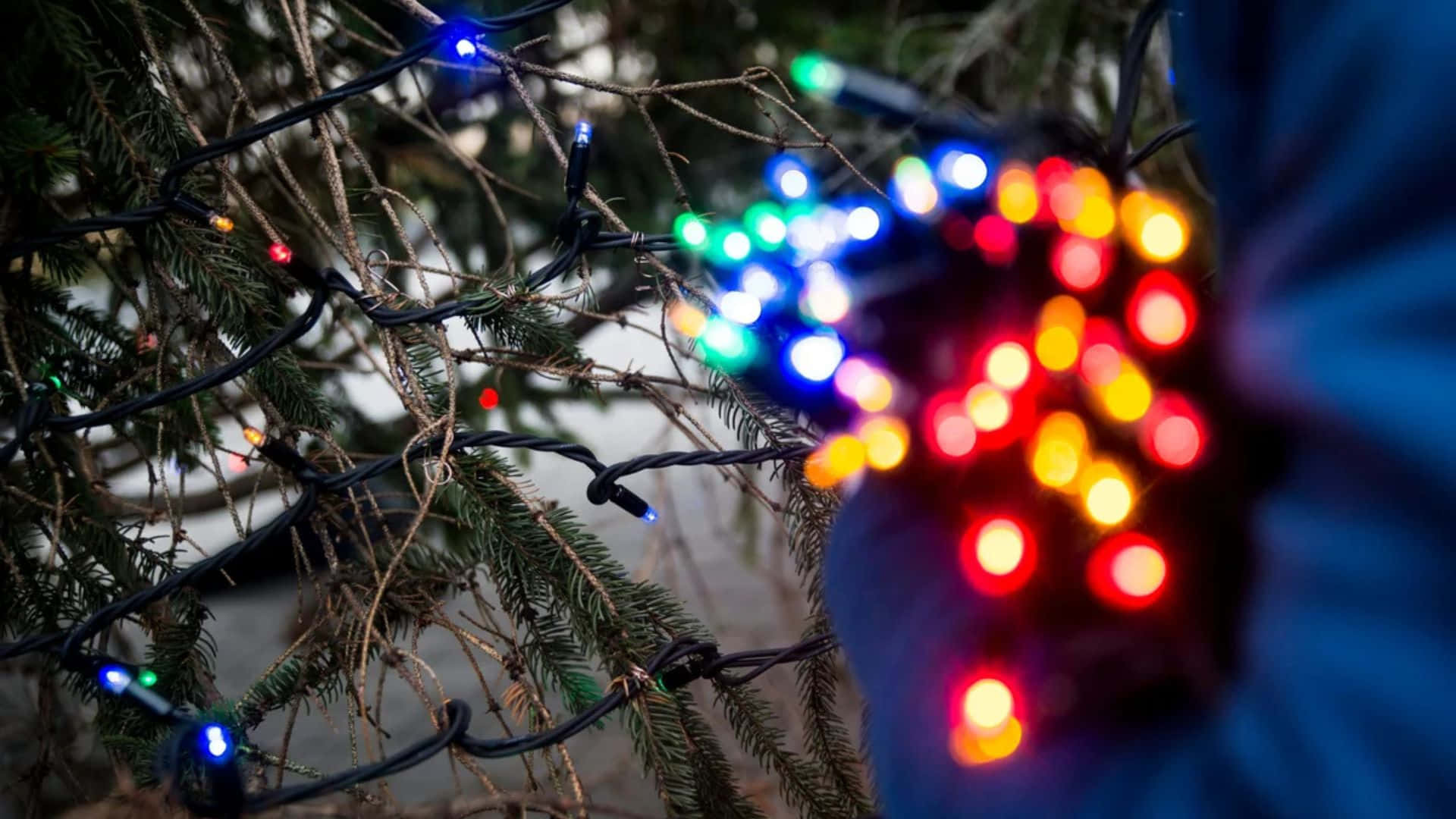 Christmas Lights Installation Wallpaper