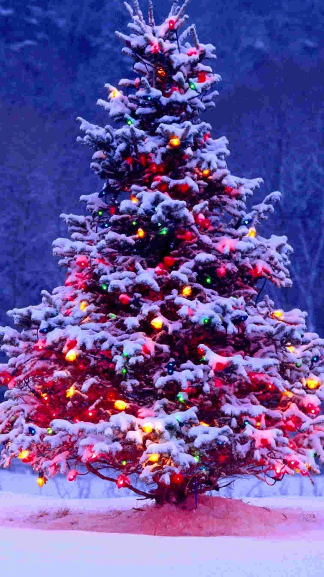 Christmas Lights Iphone Snow Wallpaper