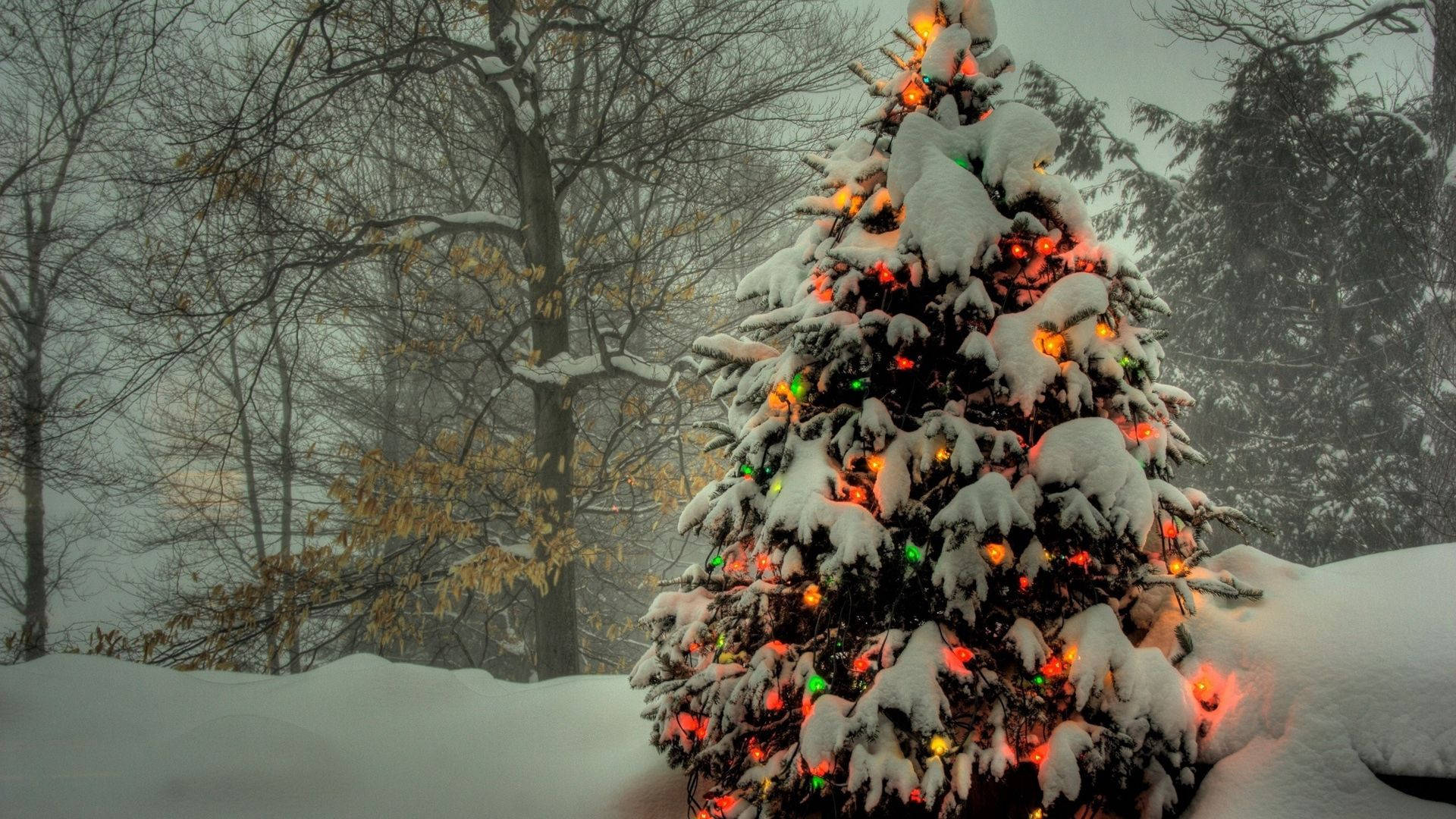 Snow covered tree with orange and green Christmas lights wallpaper.