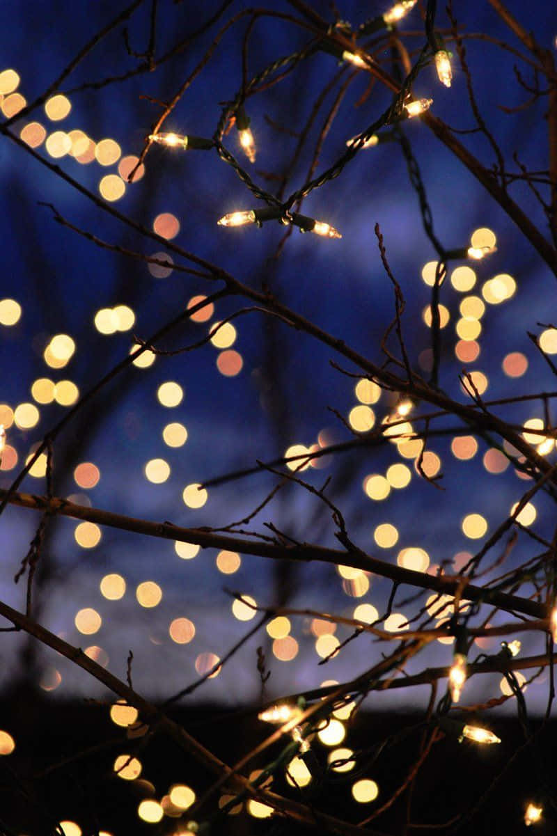 Get festive with these twinkling Christmas lights! Wallpaper