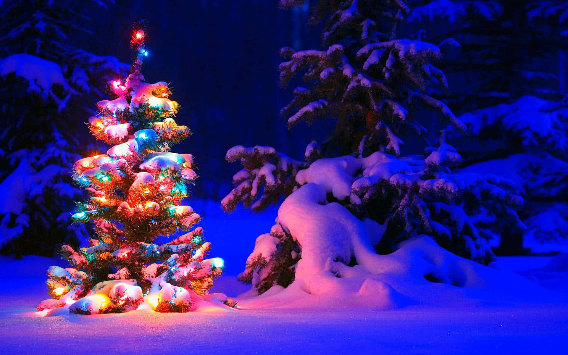 Juletræ i sneen Wallpaper