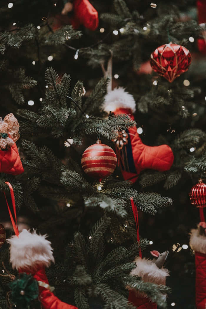 Lys op dit liv denne jul med nogle søde og hyggelige tumblr-inspirerede lys! Wallpaper