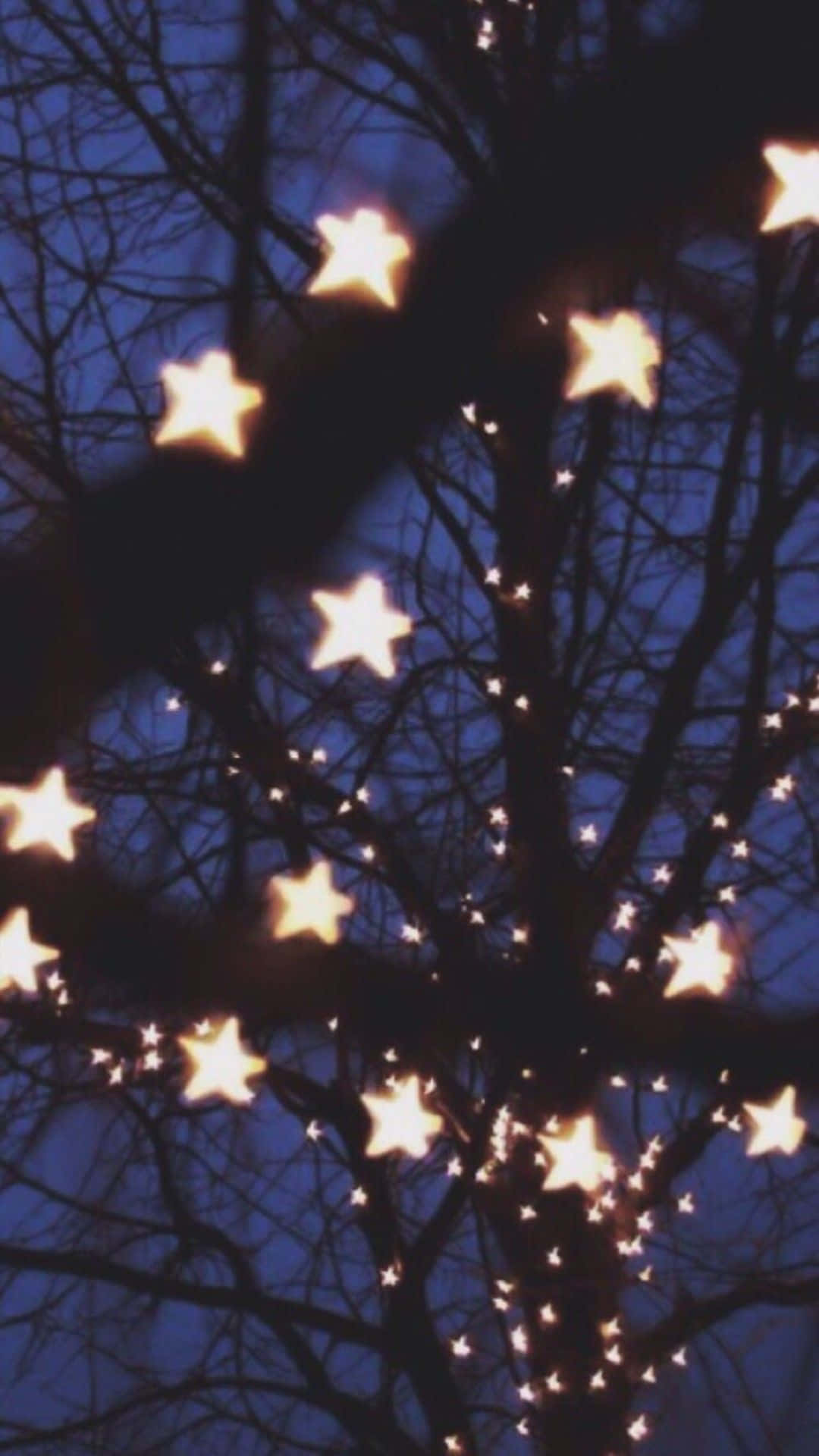 A Tree With Stars On It Wallpaper