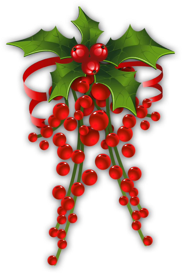 Christmas Mistletoe Illustration.png PNG