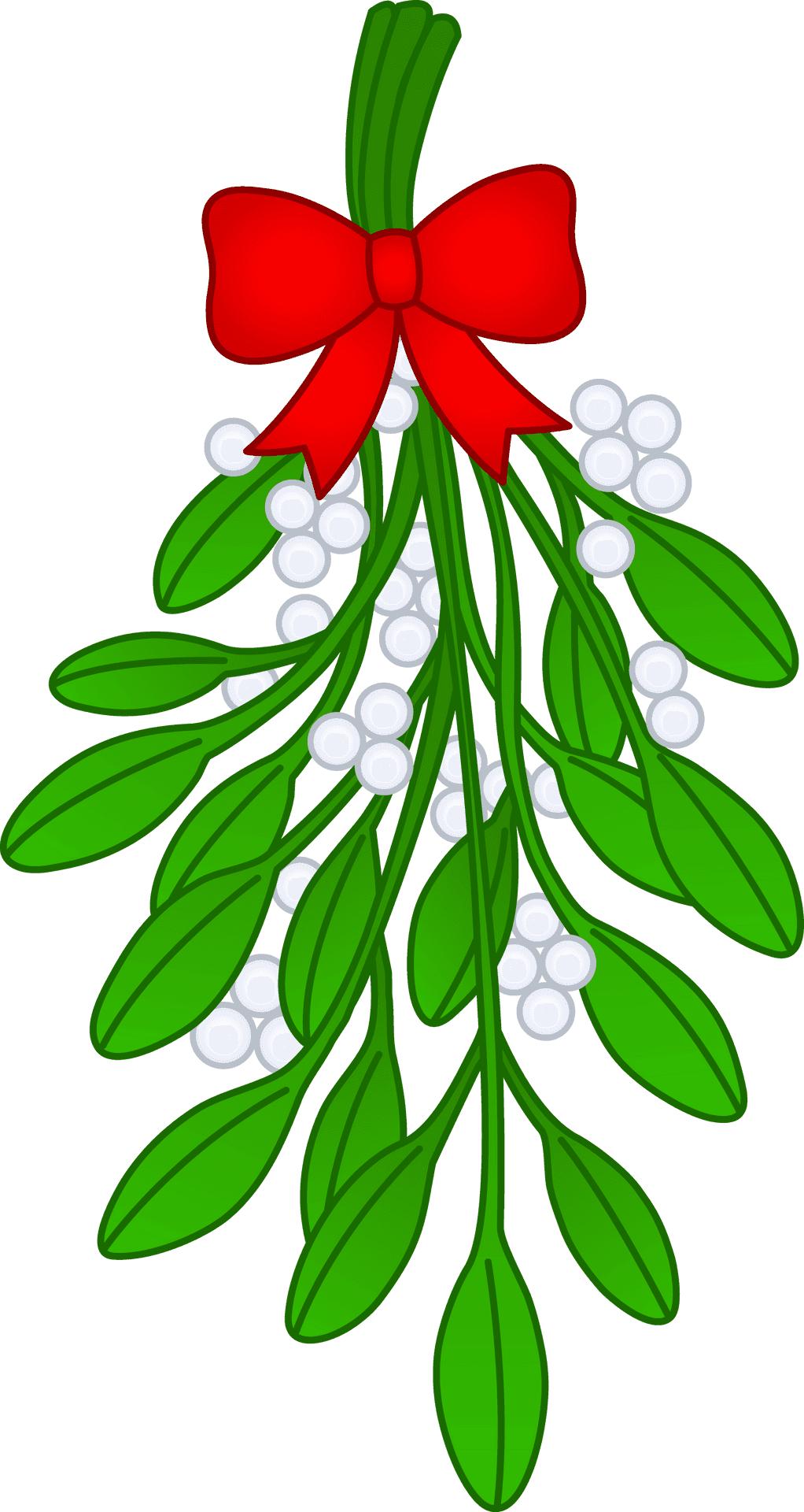 Christmas Mistletoe Illustration.png PNG