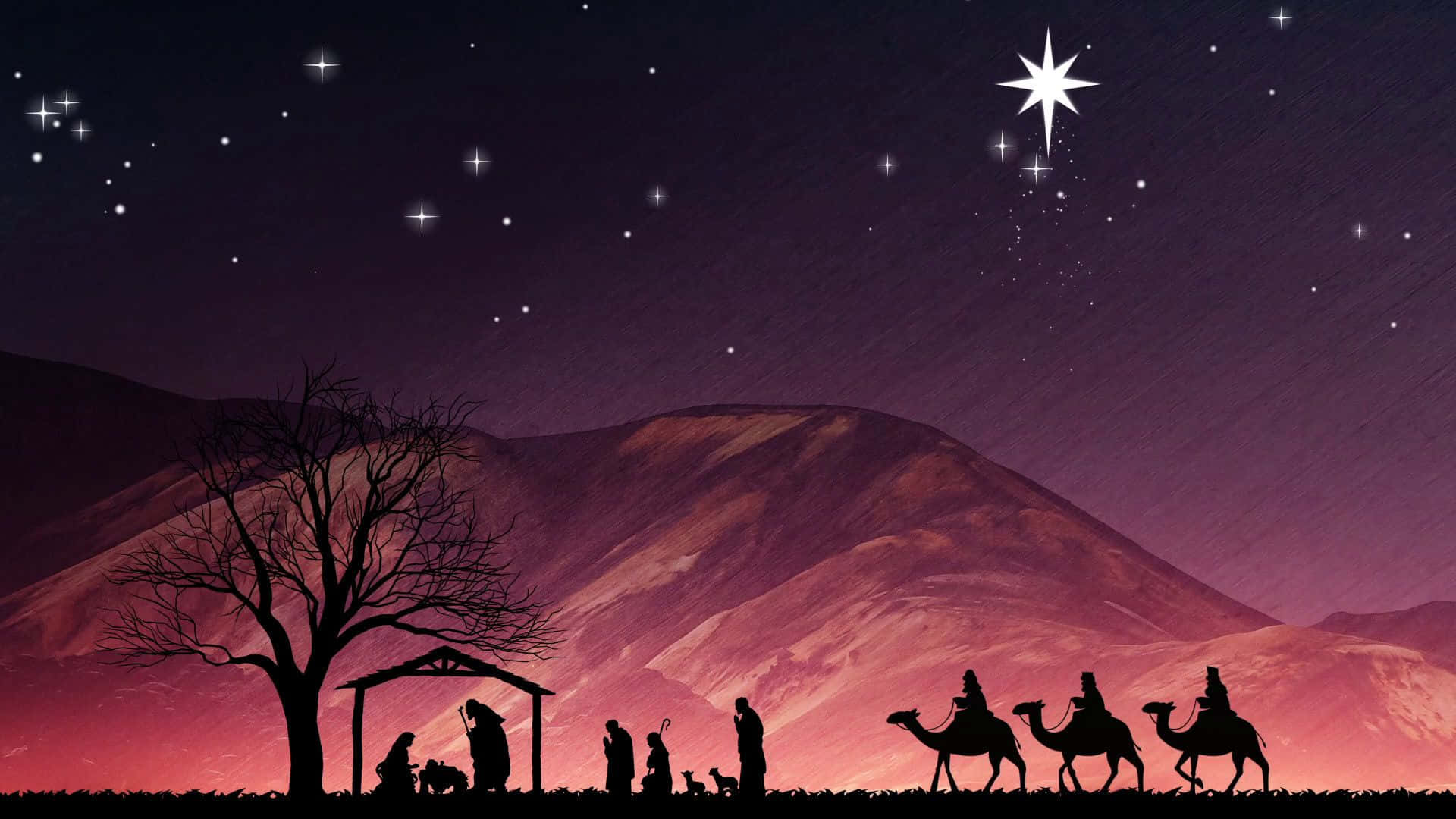 Nativity of Jesus at Christmas Wallpaper