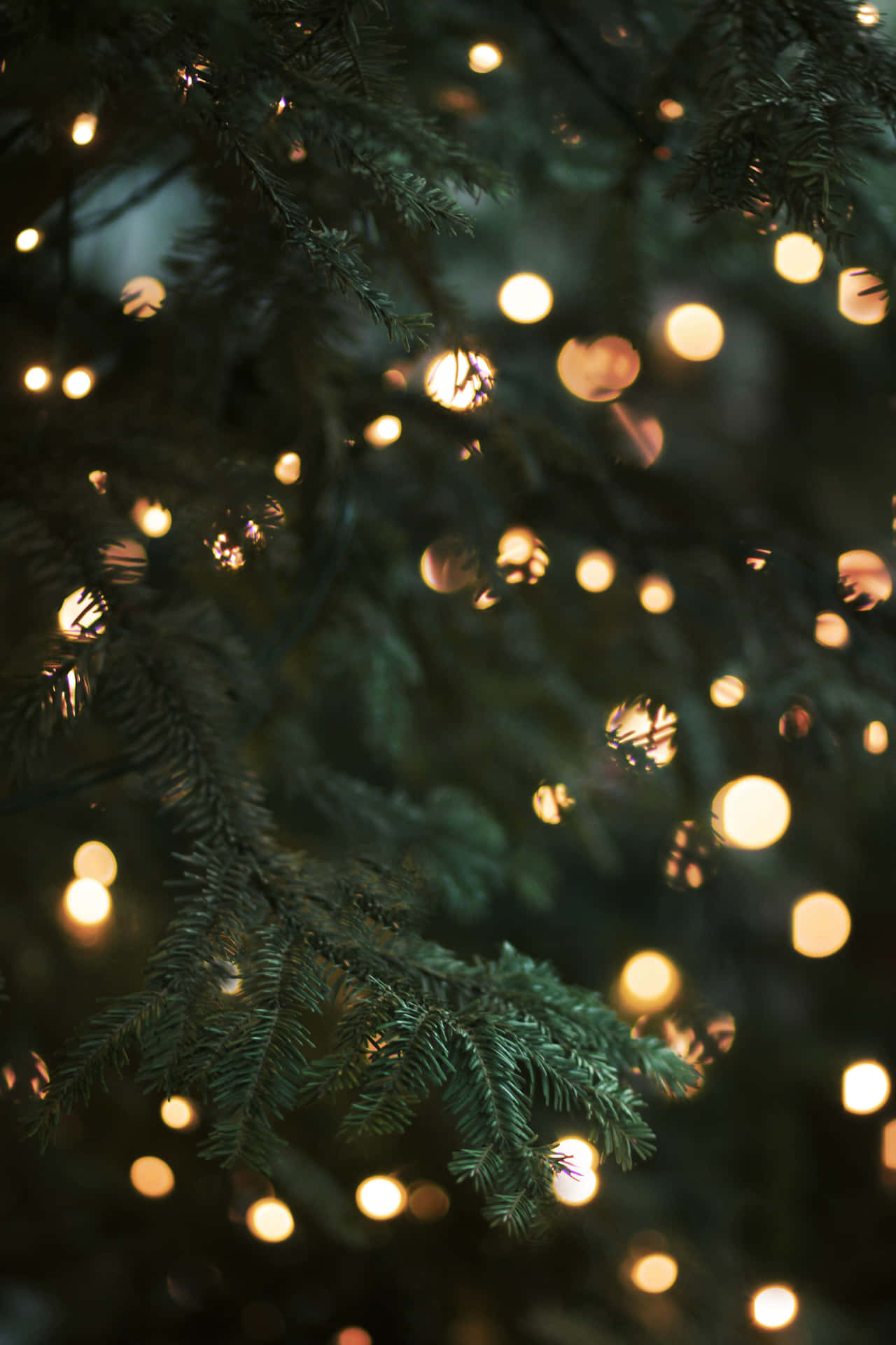 En juletræ med lys på det Wallpaper