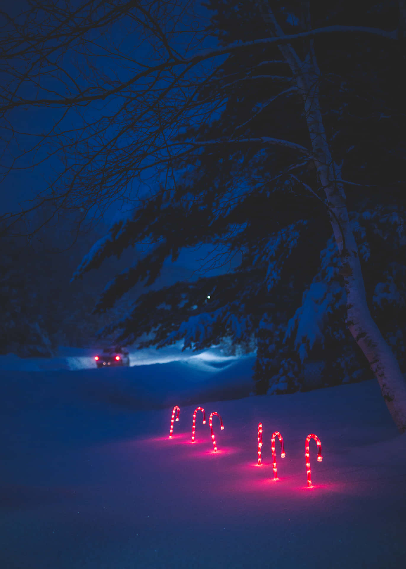En magisk julenat bruges under glimtende stjerner og en fredelig påklædning af sne. Wallpaper
