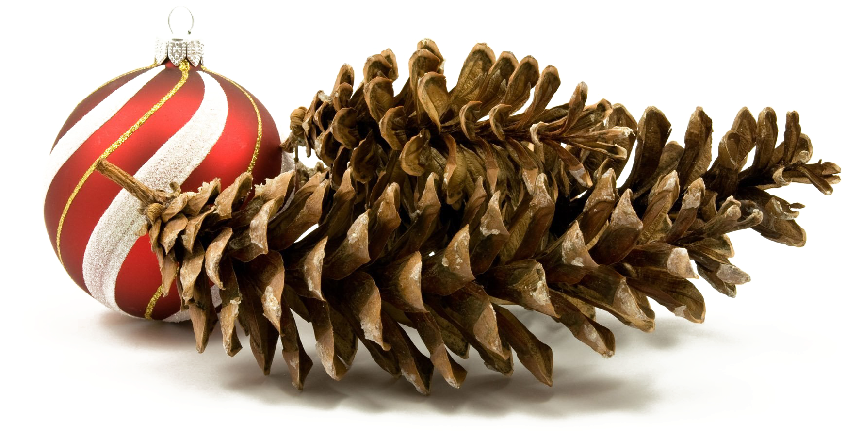 Christmas Ornamentand Pinecones PNG