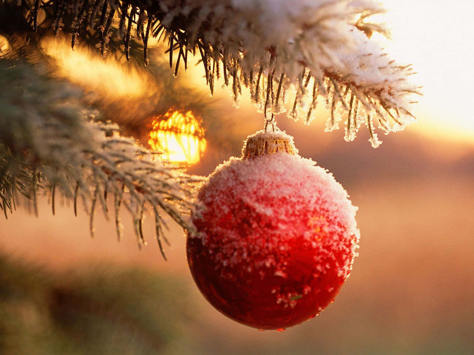 Weihnachtlicheschneekugel-ornamente-bild