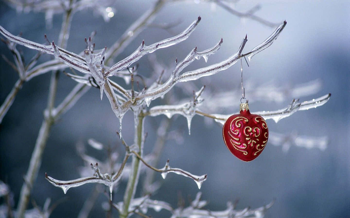 Shimmering Christmas Ornaments Picture