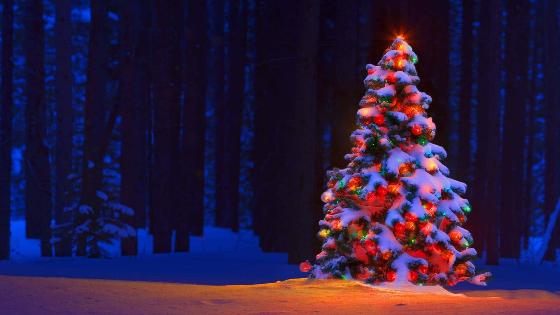 Umaárvore De Natal Na Neve Com Luzes Acesas. Papel de Parede