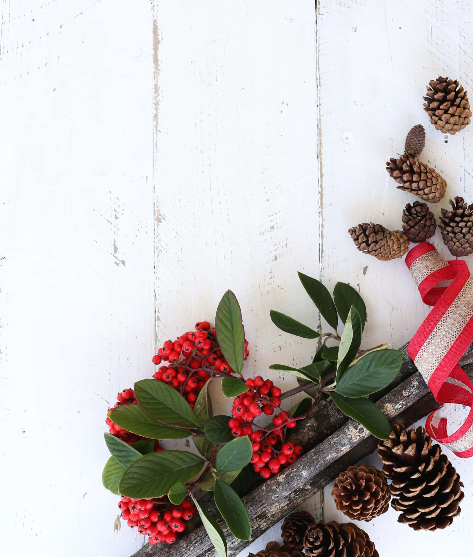 Pine Cones And Berries Christmas Photo Background