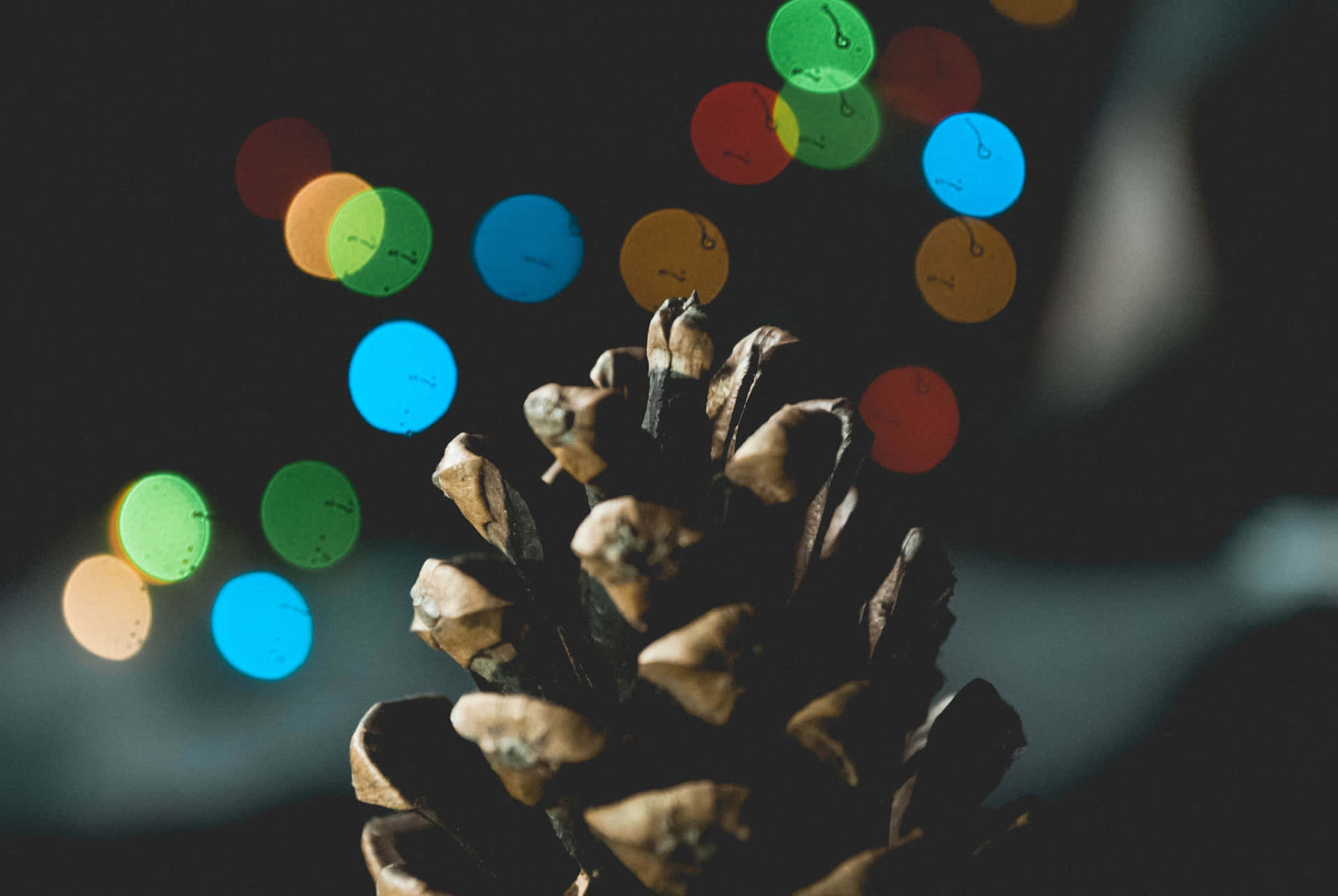 Pinecone Close-up Christmas Photo Background