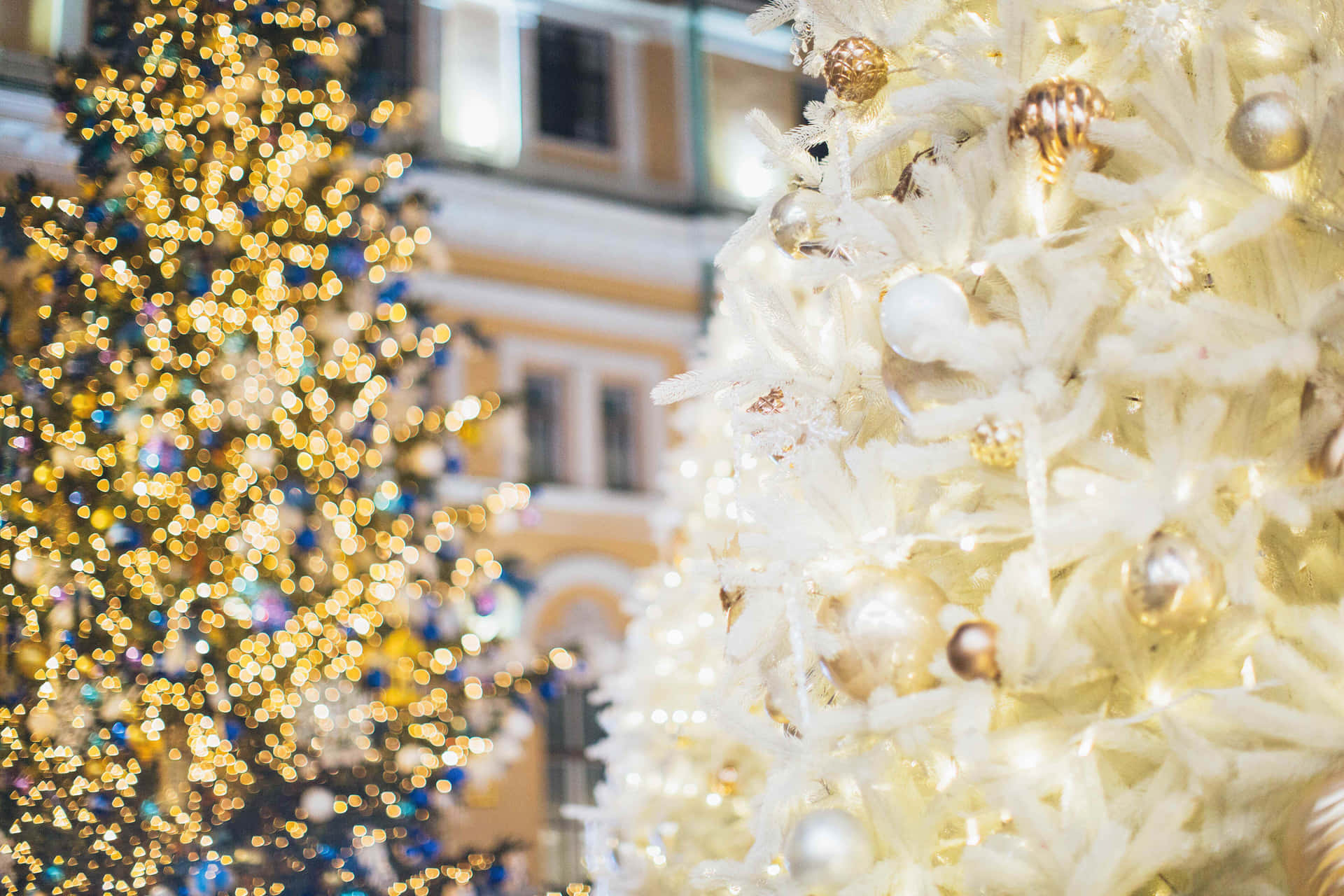 All-White Christmas Tree Photo Background