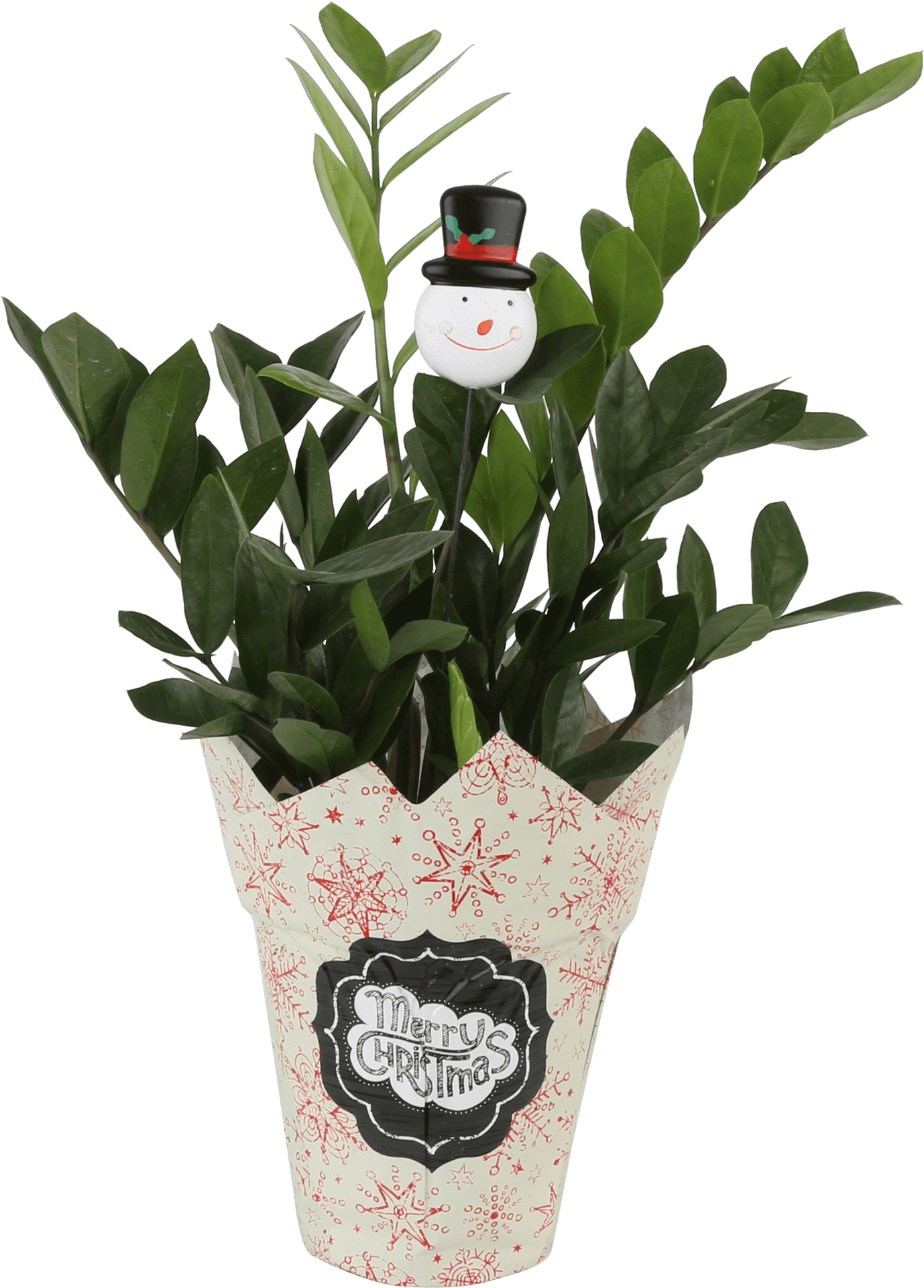 Christmas Plant Potwith Snowman Decoration PNG