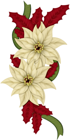 Christmas Poinsettia Decoration PNG