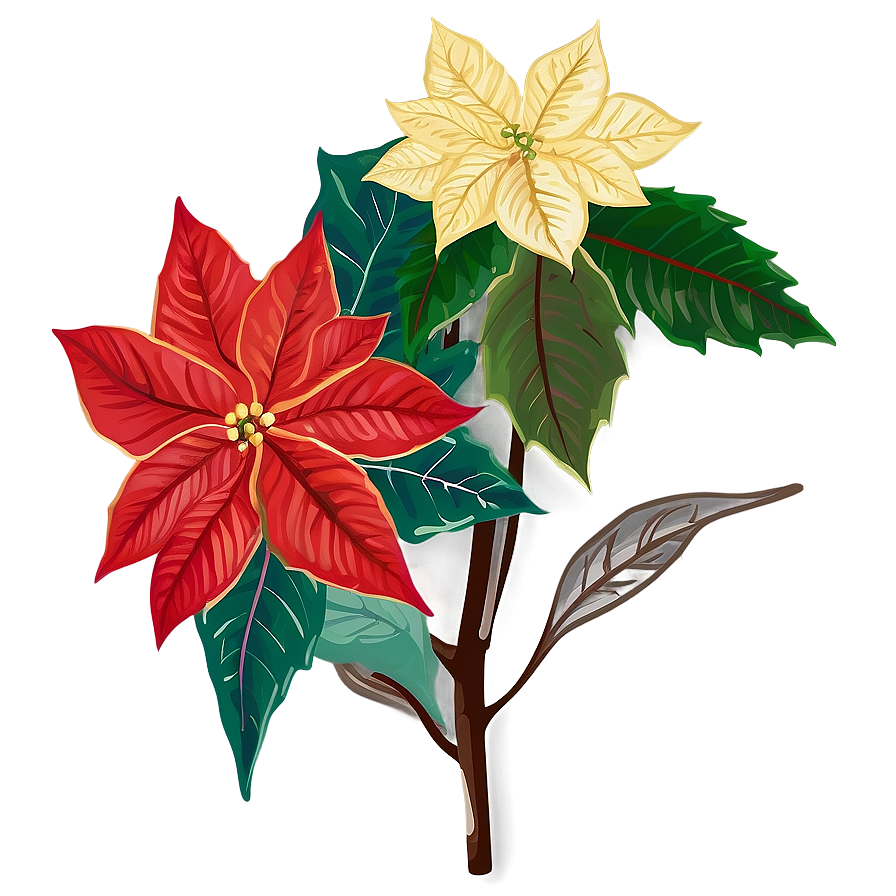 Christmas Poinsettia Flower Png Dpb93 PNG