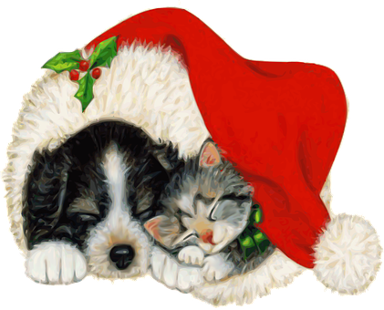 Christmas Puppy Kitten Nap PNG