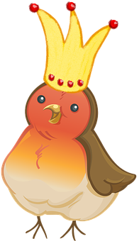Christmas Robin Crown Illustration PNG