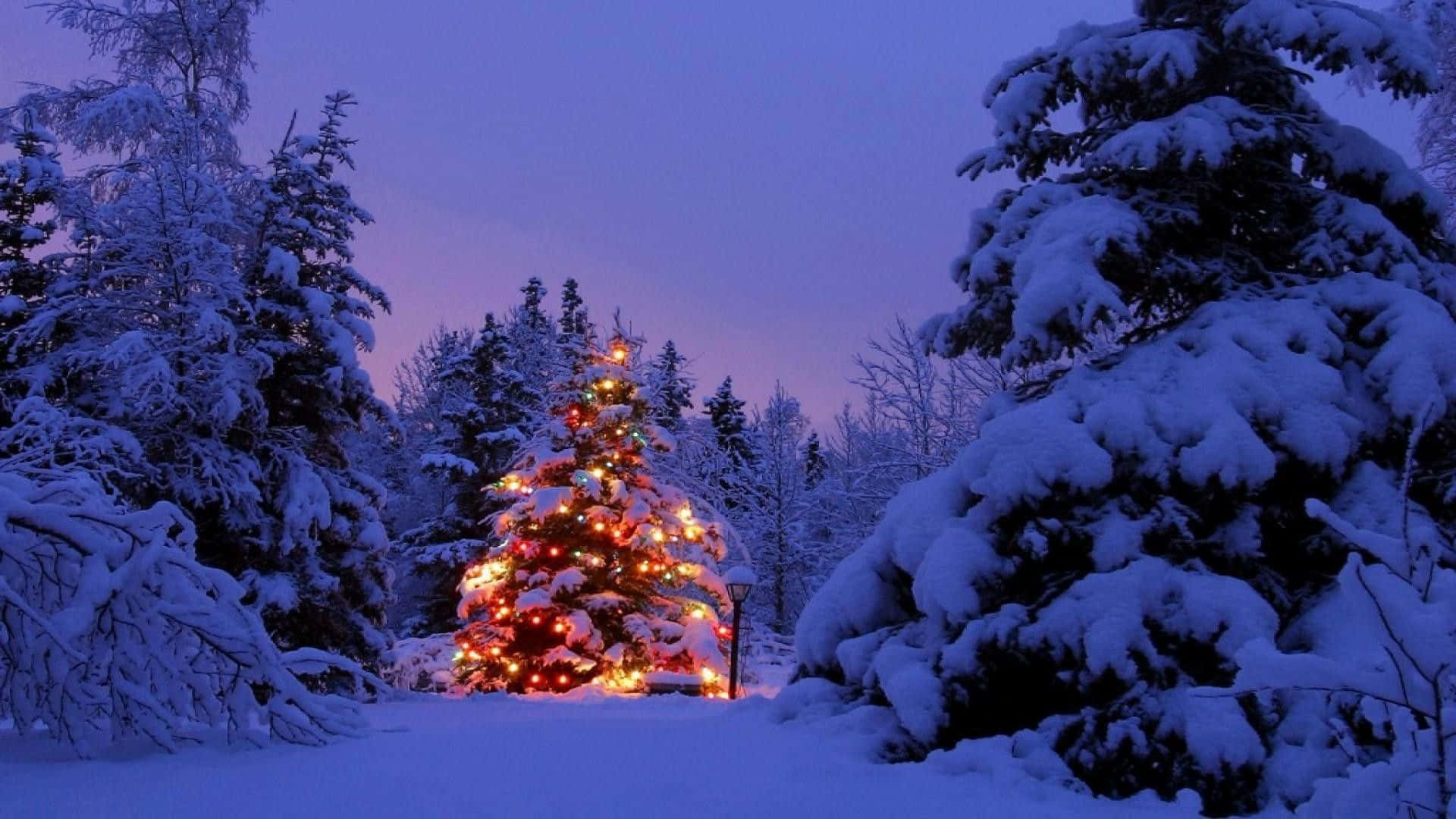 Weihnachtsszenemit Festlichem Baummotiv Im Hintergrund