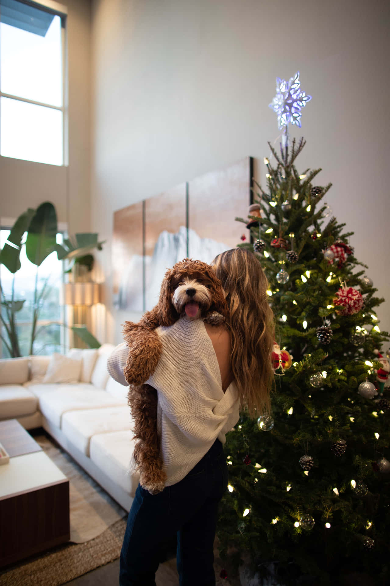 Fraumit Hund Weihnachtsszene Hintergrund