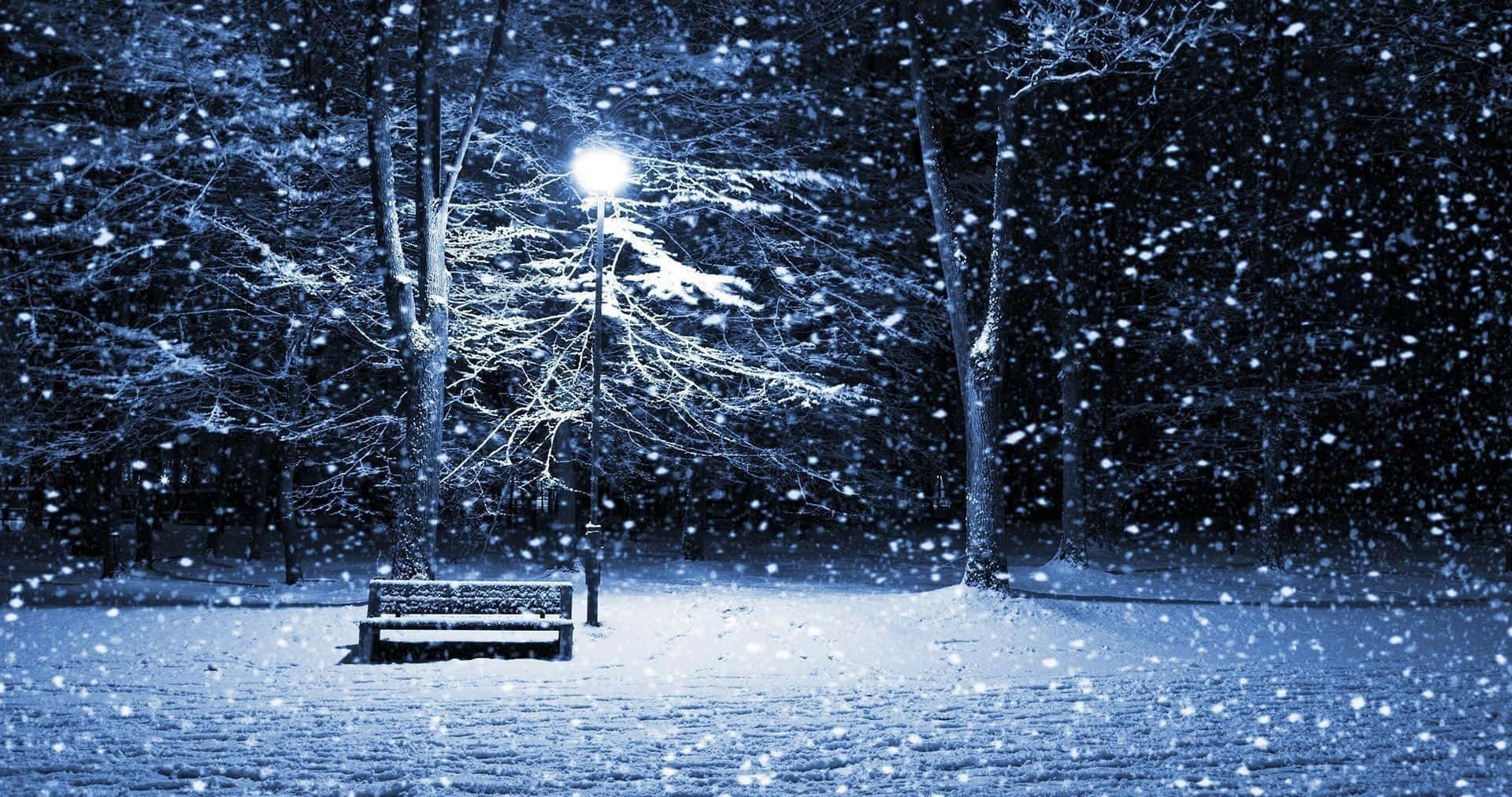A Bench In The Snow Wallpaper